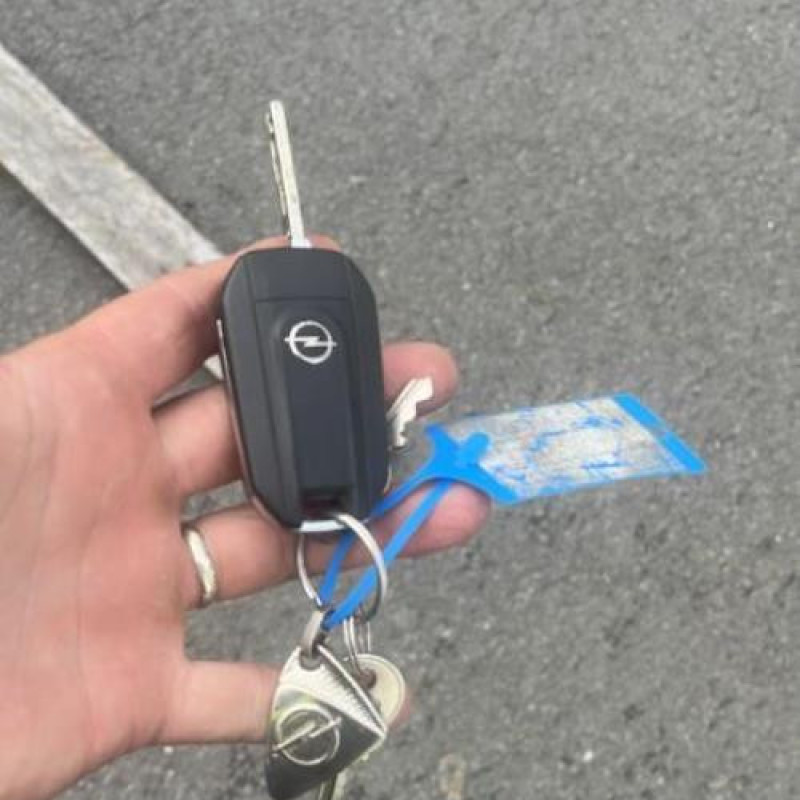 Charniere de porte de coffre droit OPEL VIVARO 3 Photo n°11