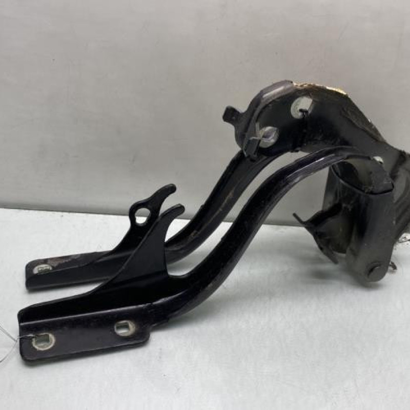 Charniere de capot FIAT 500 2 Photo n°1