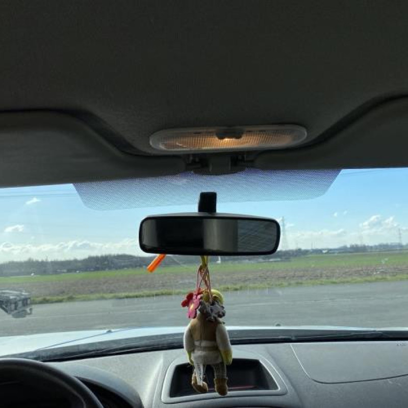 Poignee porte avant gauche RENAULT CLIO 3 Photo n°19