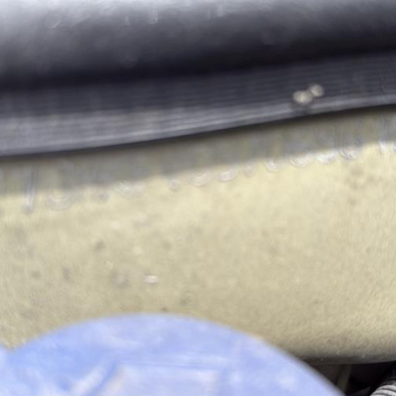 Poignee porte avant droit CITROEN C2 Photo n°17