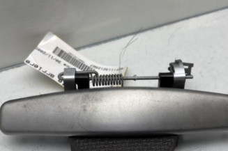 Poignee porte arriere gauche DACIA SANDERO 1 Photo n°1