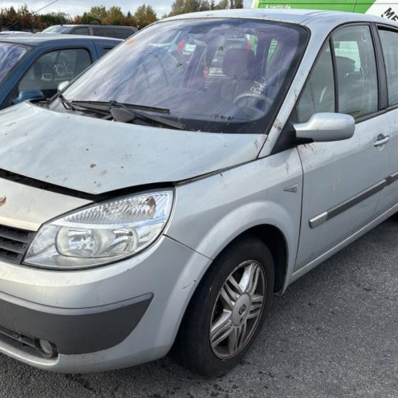 Poignee porte arriere droit RENAULT SCENIC 2 Photo n°10