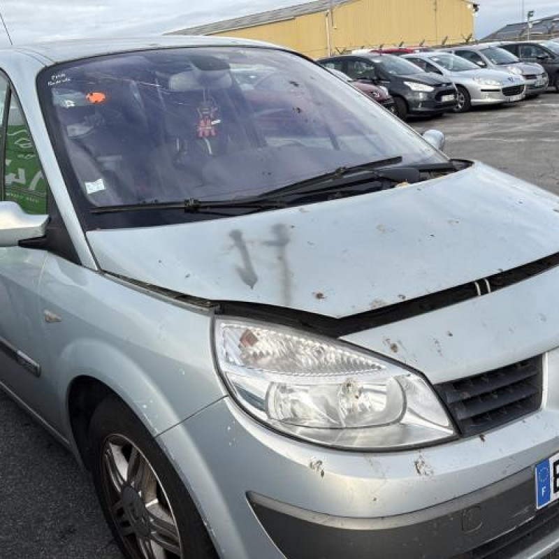 Poignee porte arriere droit RENAULT SCENIC 2 Photo n°11