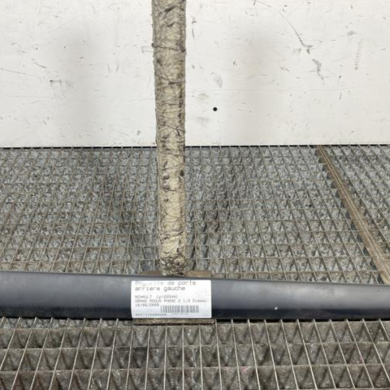 Baguette de porte arriere gauche  RENAULT GRAND MODUS Photo n°1