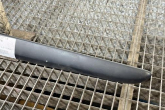 Baguette de porte arriere gauche  RENAULT GRAND MODUS
