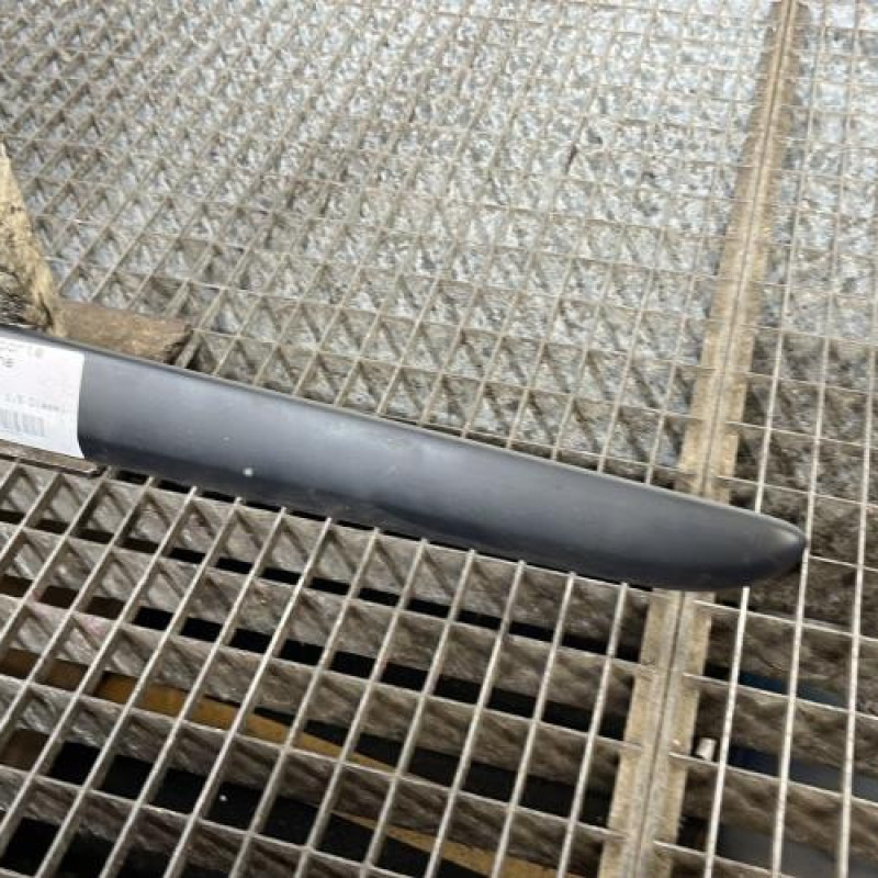 Baguette de porte arriere gauche  RENAULT GRAND MODUS Photo n°3