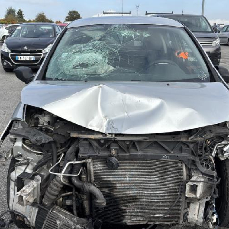 Bouton de coffre RENAULT CLIO 3 Photo n°12