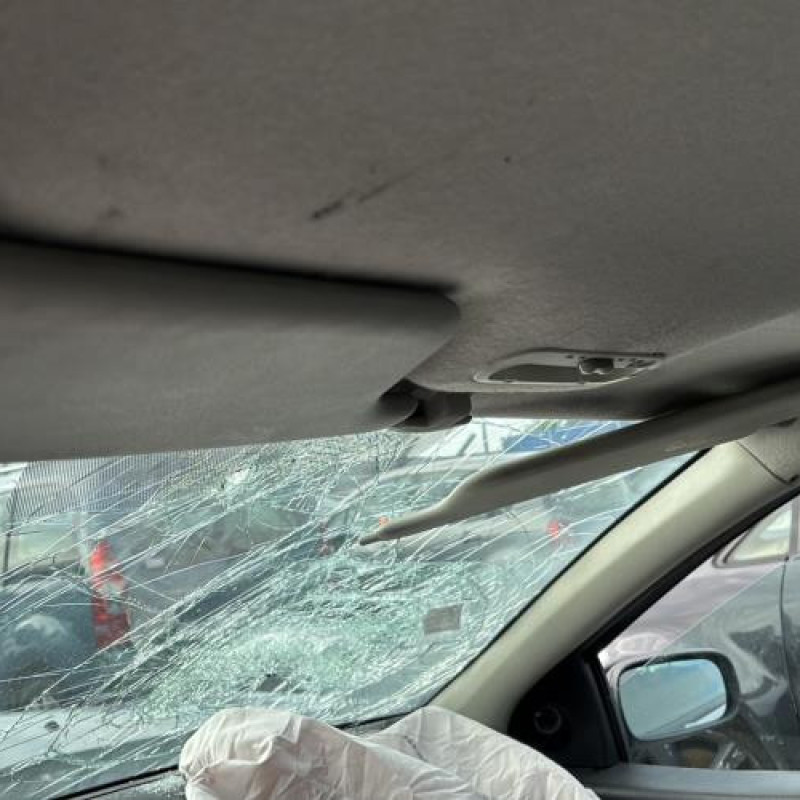 Bouton de coffre RENAULT CLIO 3 Photo n°20