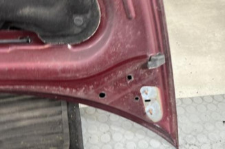 Capot CITROEN C3 PLURIEL