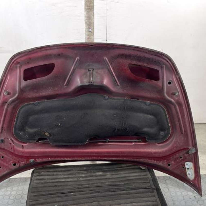 Capot CITROEN C3 PLURIEL Photo n°10