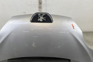 Capot PEUGEOT 107 Photo n°1