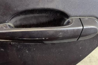 Porte arriere gauche BMW SERIE 3 E91