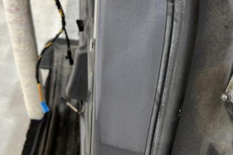 Porte arriere gauche BMW SERIE 3 E91