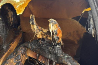 Alternateur PEUGEOT 206