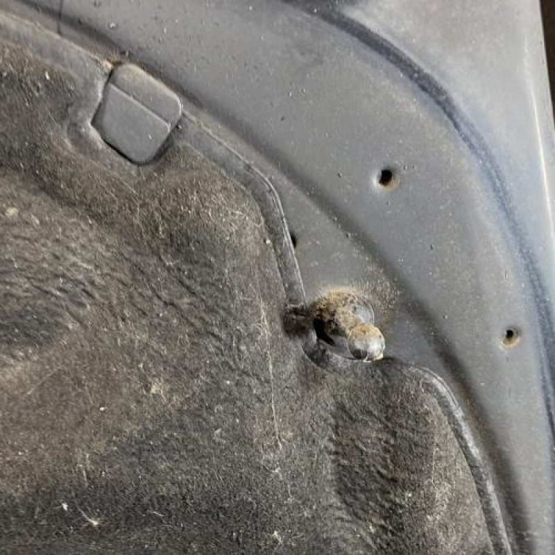 Capot AUDI A6 3 Photo n°8