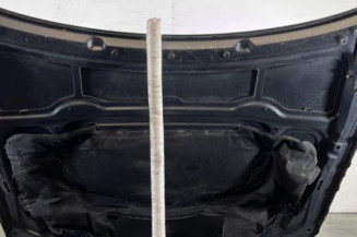 Capot BMW SERIE 3 E91