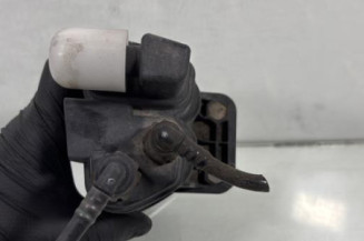 Canister RENAULT CLIO 4