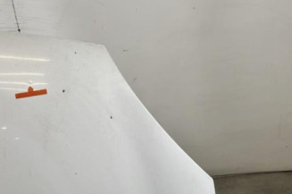 Capot RENAULT CLIO 2 CAMPUS