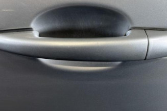 Porte arriere gauche CITROEN C3 2