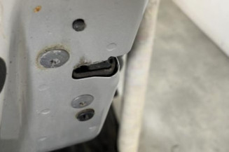 Porte arriere gauche CITROEN C3 2