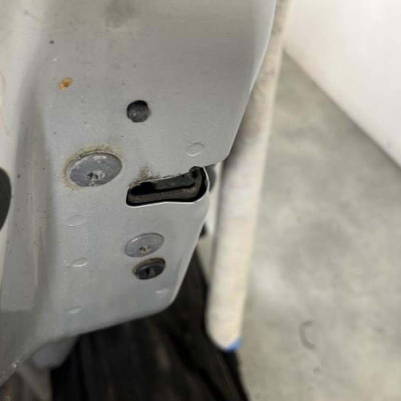 Porte arriere gauche CITROEN C3 2 Photo n°3