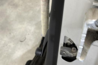 Porte arriere gauche CITROEN C3 2