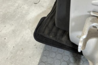 Porte arriere gauche CITROEN C3 2