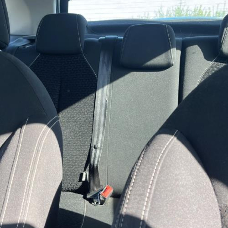 Porte arriere gauche CITROEN C3 2 Photo n°13