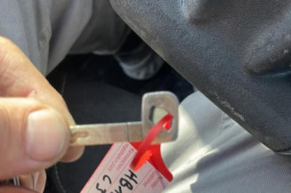 Porte arriere gauche CITROEN C3 2