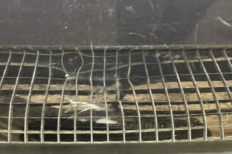 Pare choc arriere AUDI A4 1