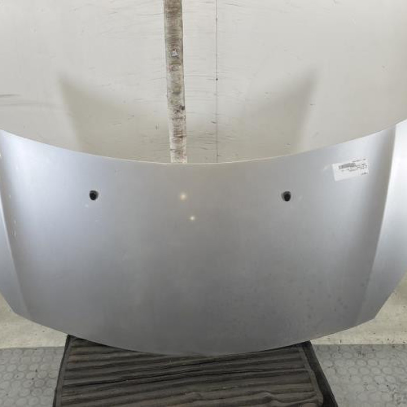 Capot CITROEN C3 2 Photo n°1