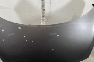 Capot RENAULT SCENIC 3 Photo n°1