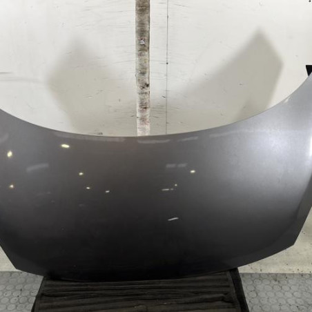 Capot RENAULT SCENIC 3 Photo n°1