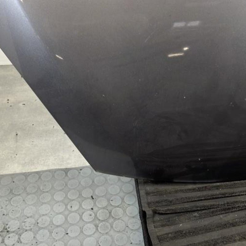 Capot RENAULT SCENIC 3 Photo n°3