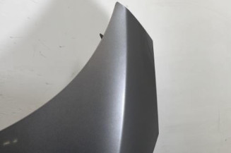 Capot RENAULT SCENIC 3