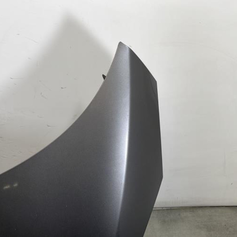 Capot RENAULT SCENIC 3 Photo n°5