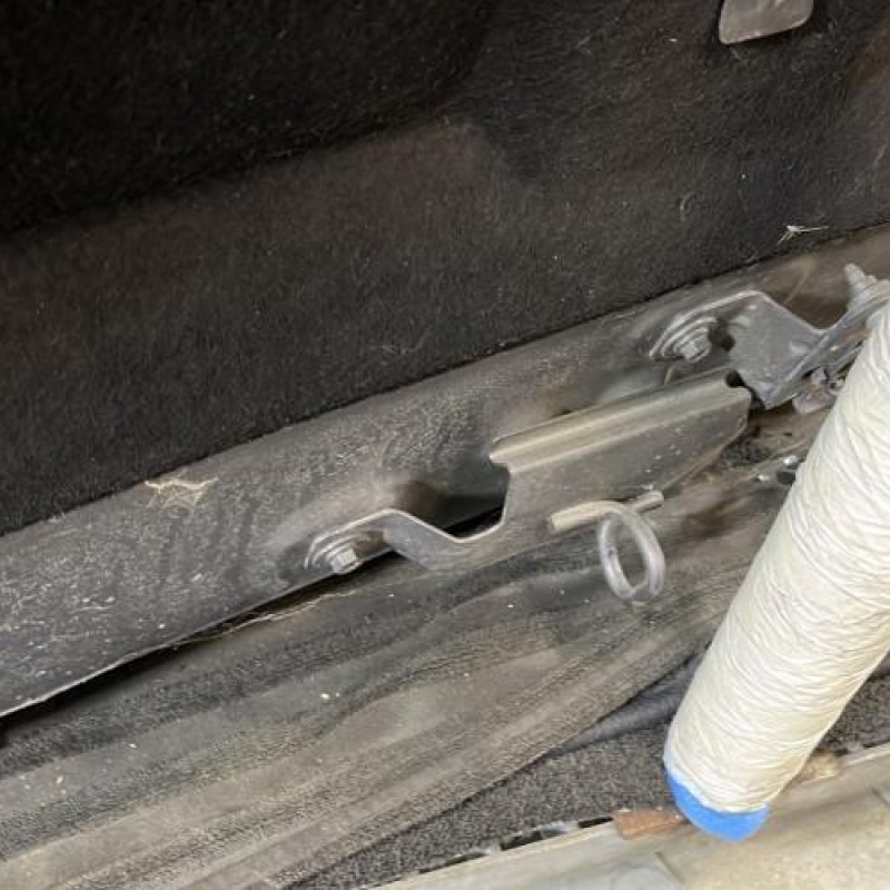 Capot RENAULT SCENIC 3 Photo n°9