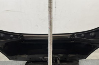 Capot RENAULT SCENIC 3