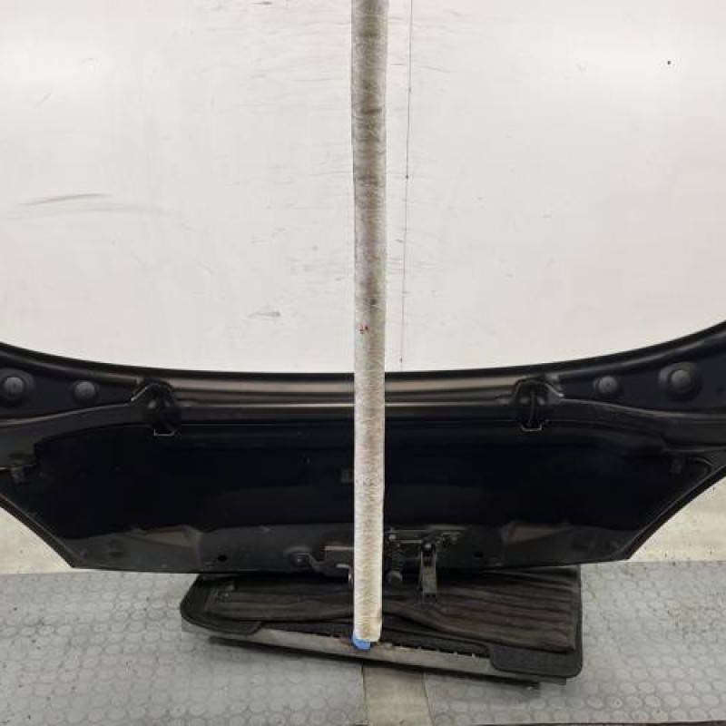 Capot RENAULT SCENIC 3 Photo n°10