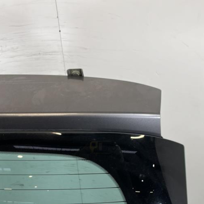 Malle/Hayon arriere RENAULT SCENIC 3 Photo n°3