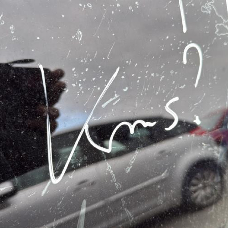 Custode arriere droit (porte) BMW SERIE 3 E46 Photo n°16