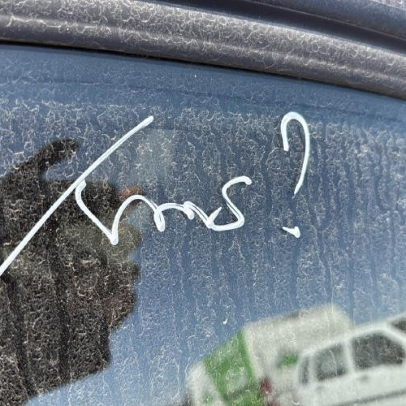 Custode arriere droit (porte) BMW SERIE 3 E46 Photo n°16