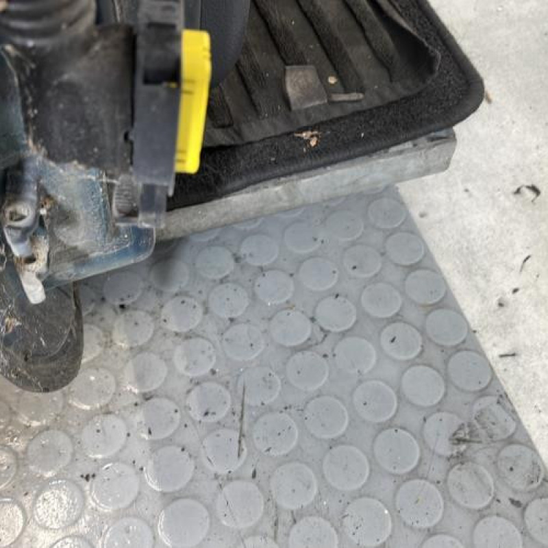 Porte avant droit RENAULT CLIO 2 Photo n°5