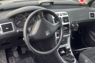 Vase de lave glace PEUGEOT 307