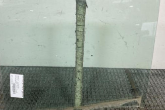 Vitre arriere gauche RENAULT CLIO 3 Photo n°1