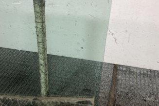 Vitre arriere gauche RENAULT CLIO 3