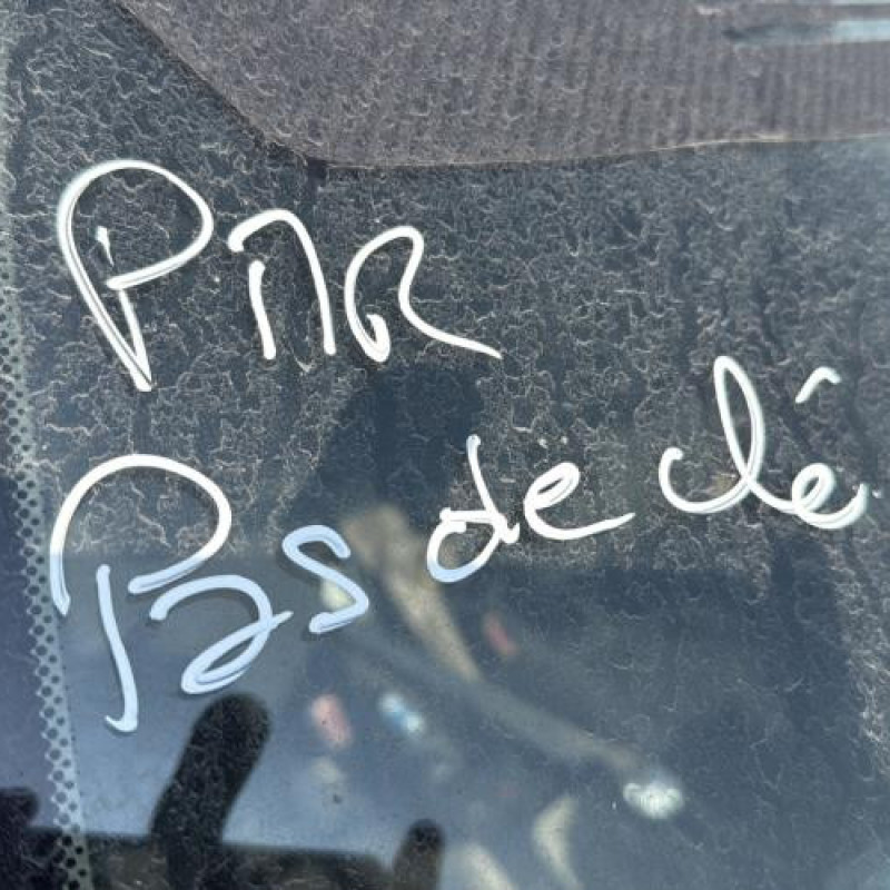 Custode arriere gauche (porte) BMW SERIE 3 E46 Photo n°13