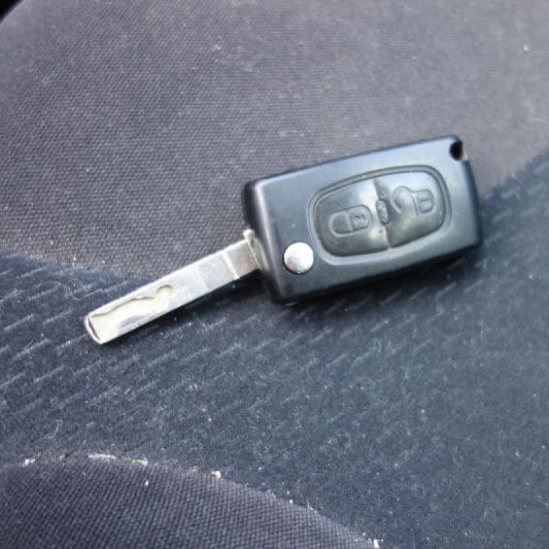 Amortisseur avant droit CITROEN C3 1 Photo n°8