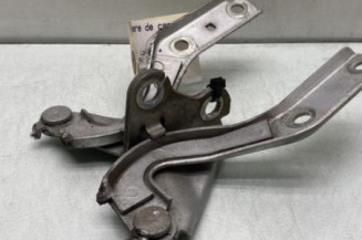 Charniere de capot VOLKSWAGEN FOX Photo n°1