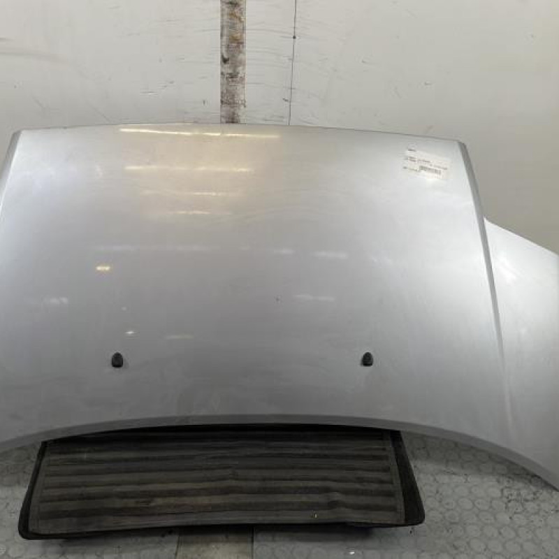 Capot CITROEN C2 Photo n°1